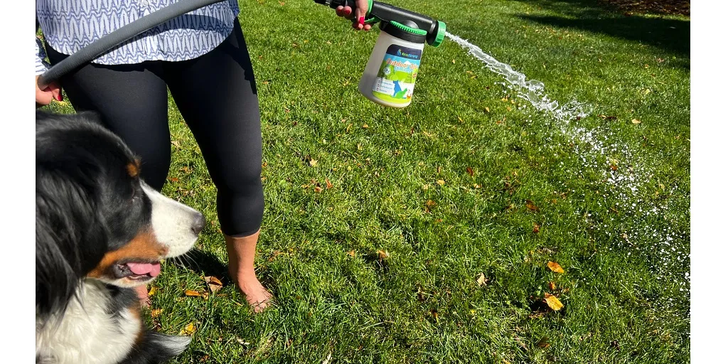 How To Eliminate Outdoor Pet Odors Naturally & Keep Your Yard Fresh
