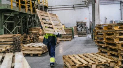 Packaging Pallets: Essential Solutions for Safe, Efficient, and Sustainable Product Handling