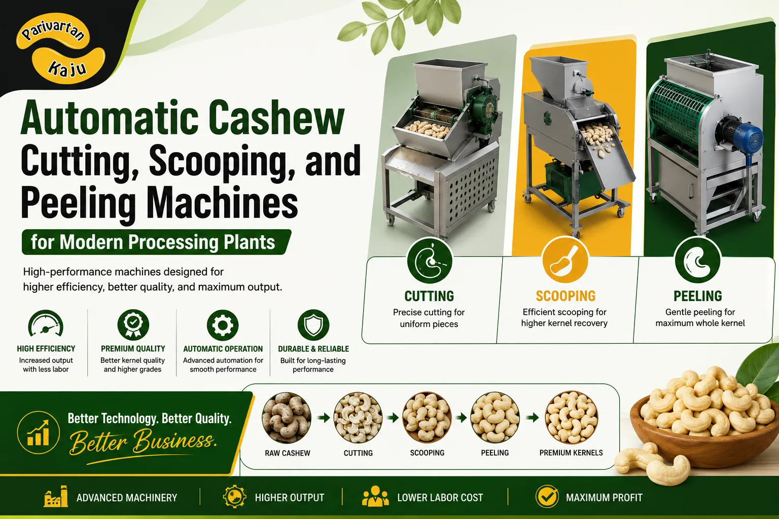 Automatic Cashew Cutting, Scooping, and Peeling Machines for Modern Processing Plants