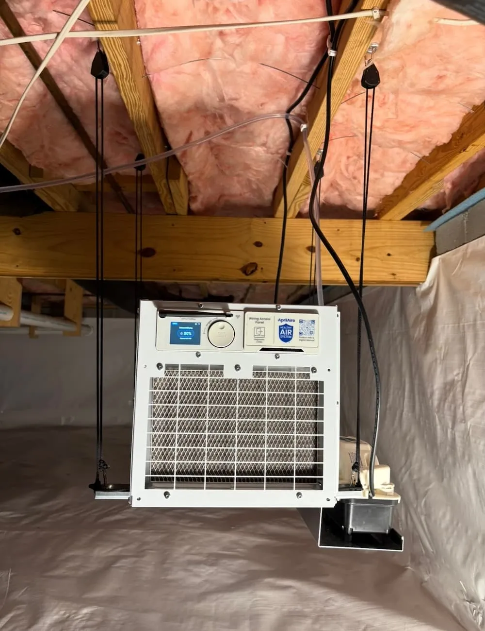 When to Schedule Advanced Mold Inspection Louisville KY