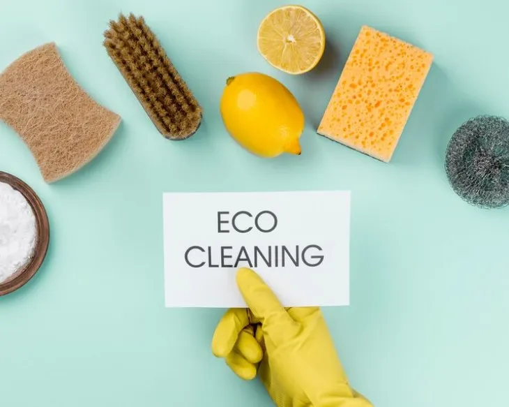Ecogreen Cleaning Services: What's Actually Inside That "Eco" Label?