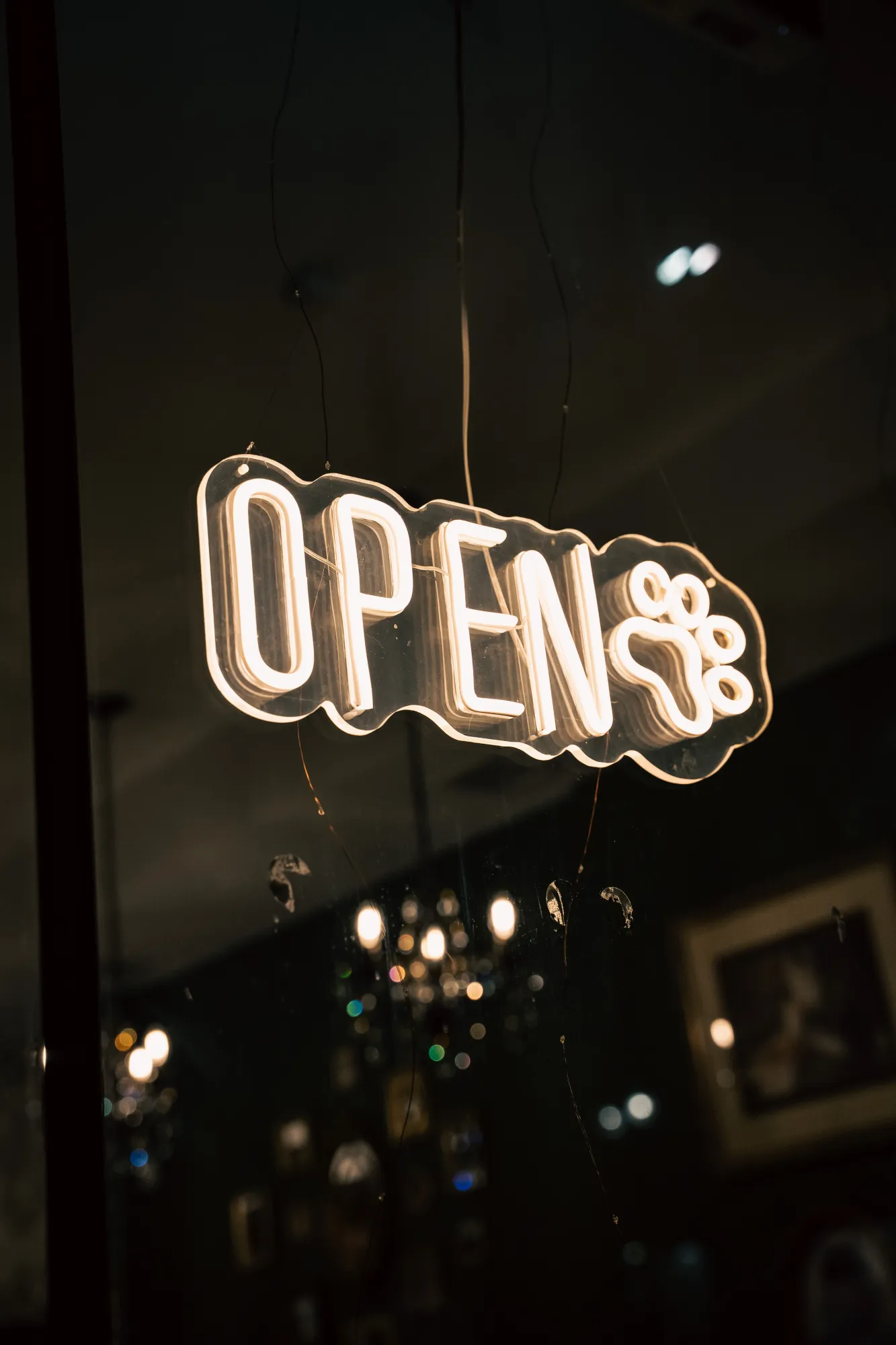 How Custom LED Signs Tampa Transform Business Branding