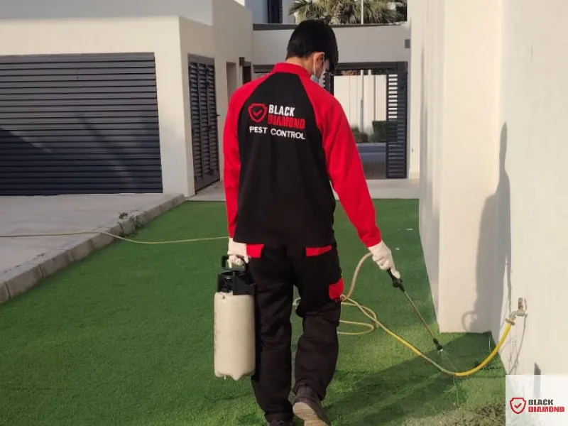 How to Control Pests in Your Villa in Abu Dhabi
