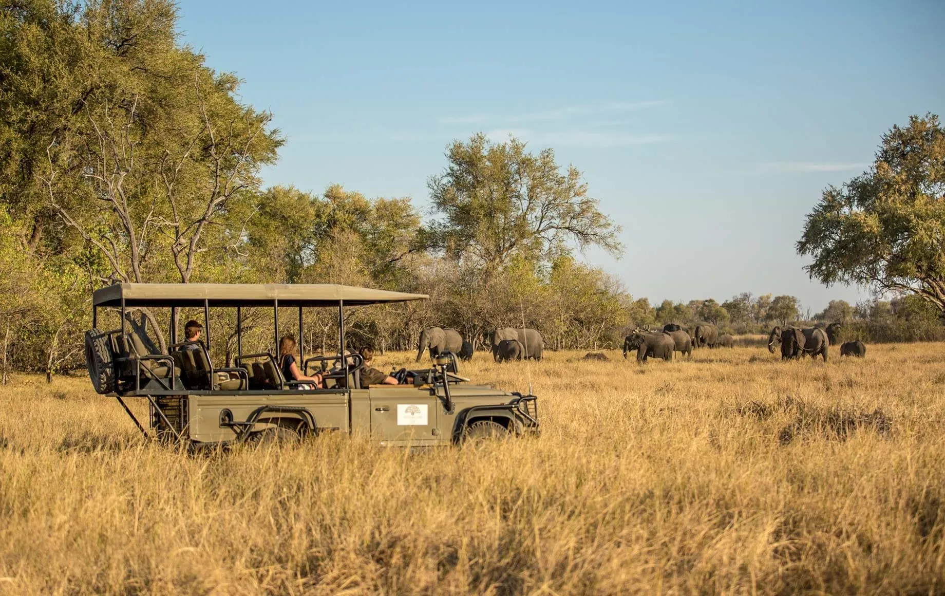 Planning Your Dream African Safari? What Our Gallery Teaches About the Best Time, Wildlife & Experiences