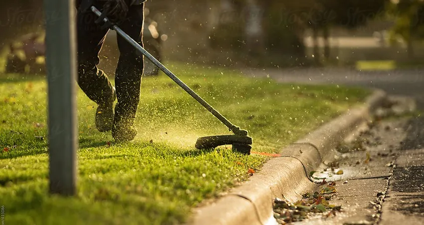 Best Yard Maintenance Services in Byron Center, MI for Every Season
