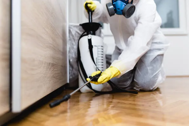 Top Reasons to Hire an Exterminator Salisbury MD for Effective Pest Removal