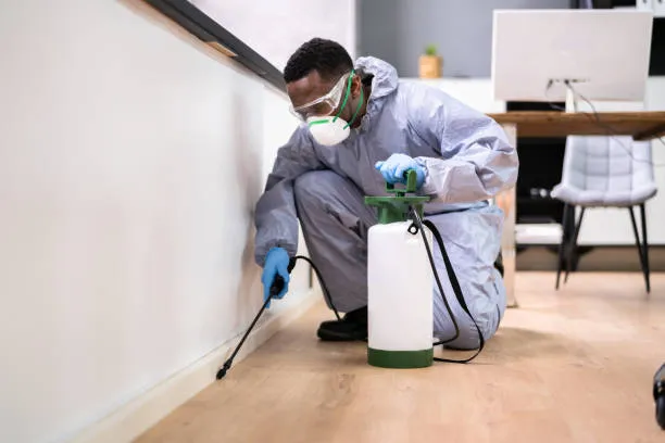 How an Exterminator Ocean City MD Protects Coastal Homes from Pest Problems