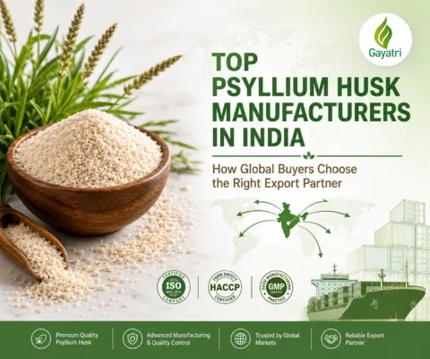 Top Psyllium Husk Manufacturers in India | Suppliers & Exporters