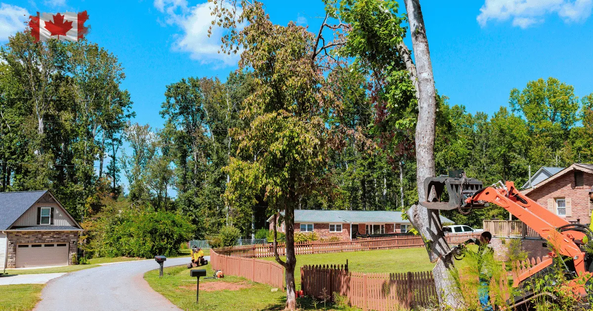 7 Benefits of a Brush Clearing Service in Halifax Before Landscaping Begins