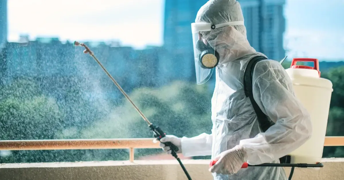 A Complete Guide to Pest Control for a Safe, Healthy, and Pest-Free Property