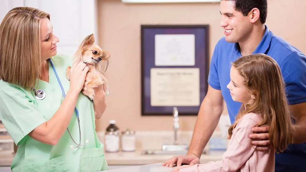 Choosing a Veterinarian for Your Family Pet