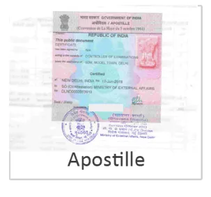 What is a Digital Apostille Stamp? Everything You Need to Know