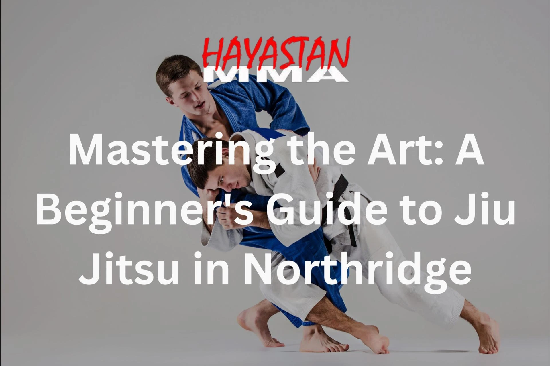Mastering the Art: A Beginner's Guide to Jiu Jitsu in Northridge