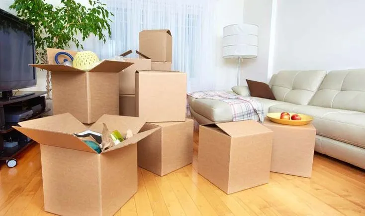 packers and movers in noida