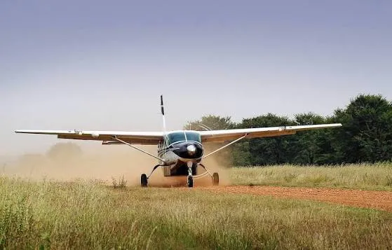 How Tanzania Luxury Safari Packages Elevate Every African Adventure