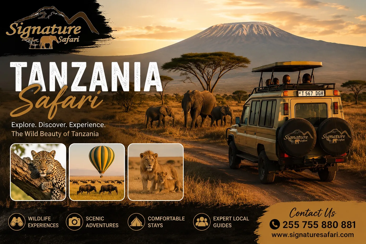 How Tanzania Luxury Safari Packages Elevate Every African Adventure