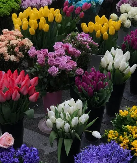 The Lasting Value of Giving Fresh Flowers Throughout the Year