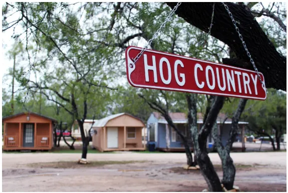 Selecting the Most Effective Texas Hog Hunting Trips for Any Skill Level