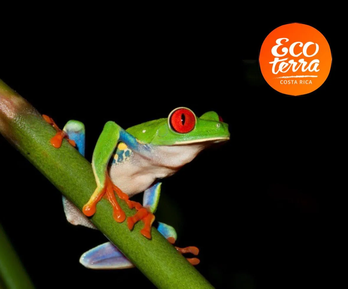 Discover Nature with Costa Rica Travel Packages
