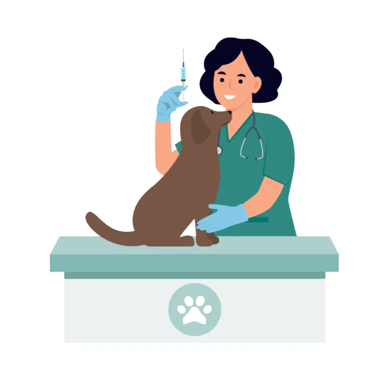 Why Booking a Pet Appointment Online Is Becoming the New Normal