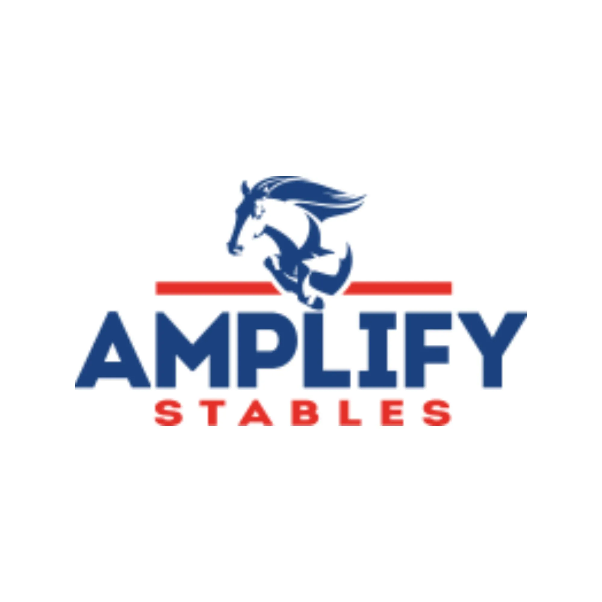 Horse Purchasing in Toronto: A Buyer's Guide to Making the Right Choice
