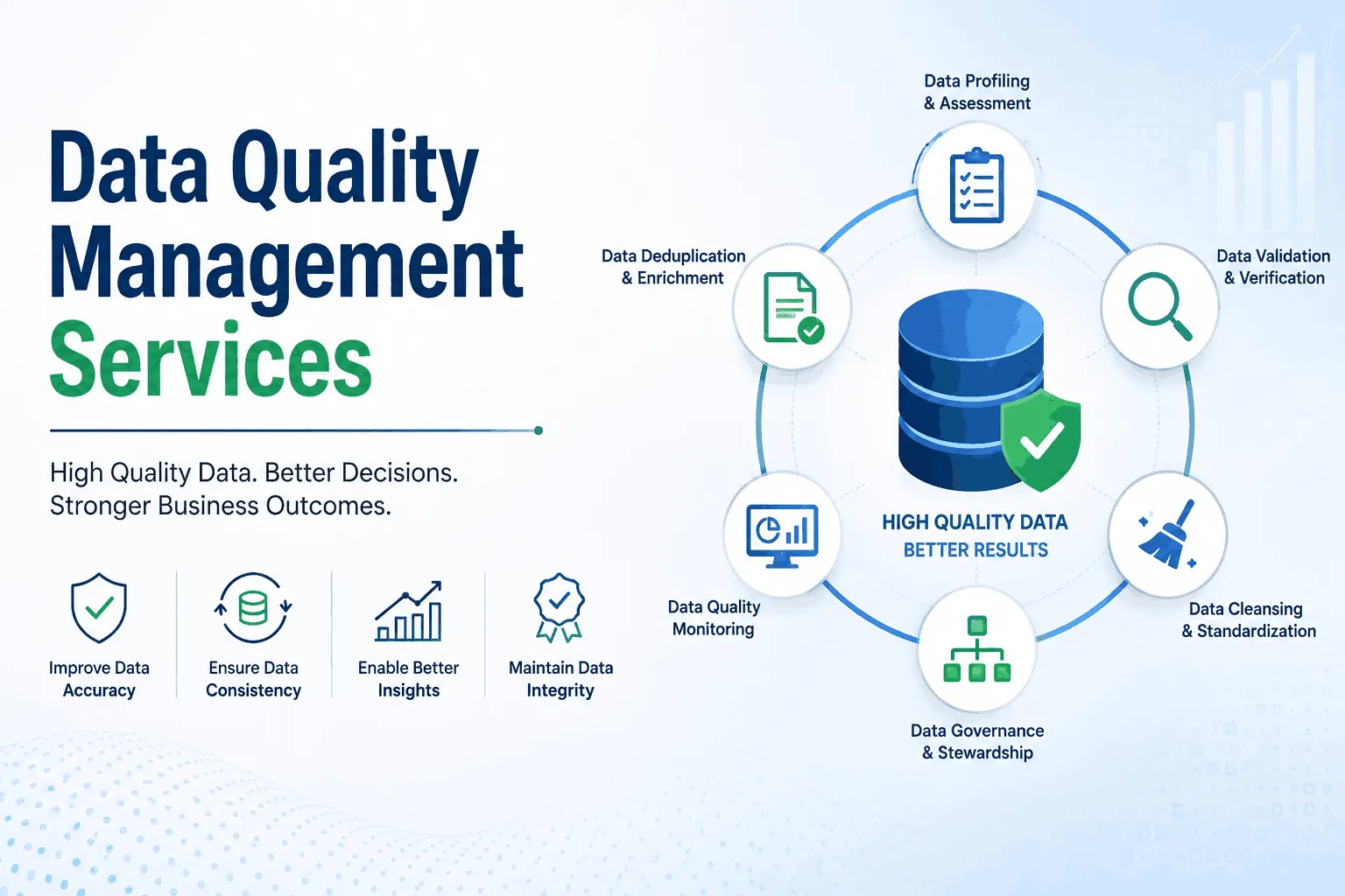Data Quality Management Services for AI & Business Intelligence