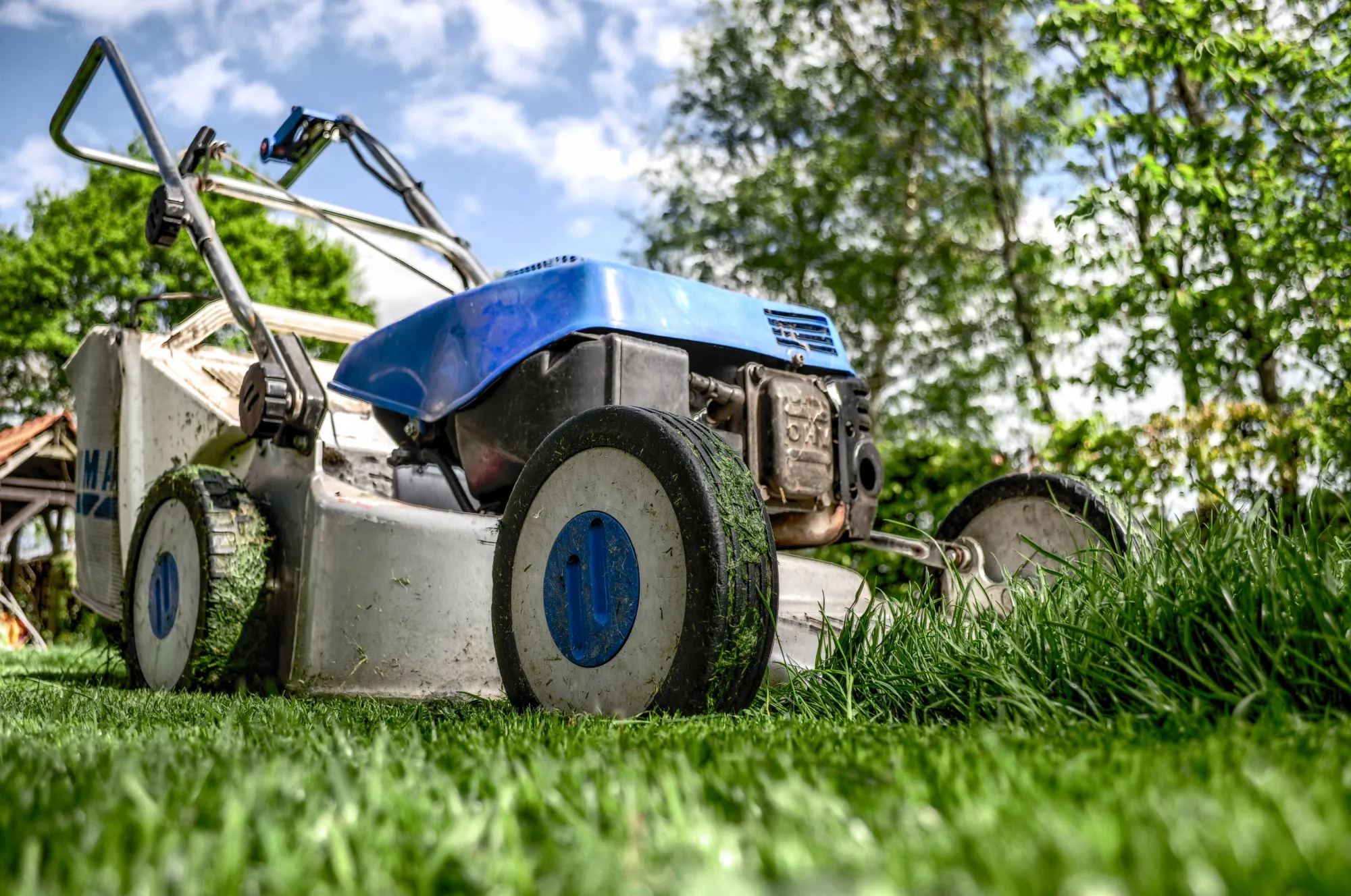 Lawn Aeration & Grass Care Services: The Secret to a Healthy, Green Calgary Lawn