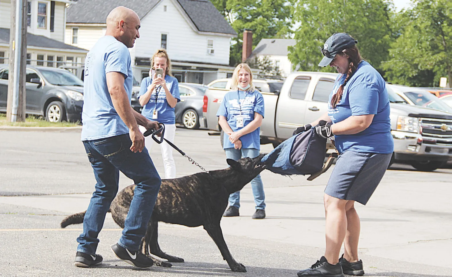 When to Hire a Dog Bite Expert Witness A Complete Guide for Personal Injury Claims