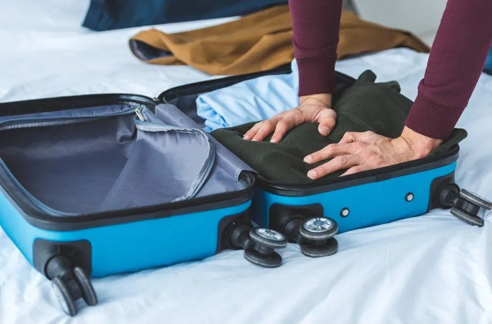 Understanding New Zealand's Biosecurity Rules Before You Relocate