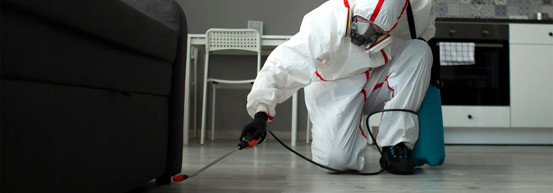 Pest Control Innisfil: Professional Solutions for a Safe, Healthy, and Pest-Free Environment