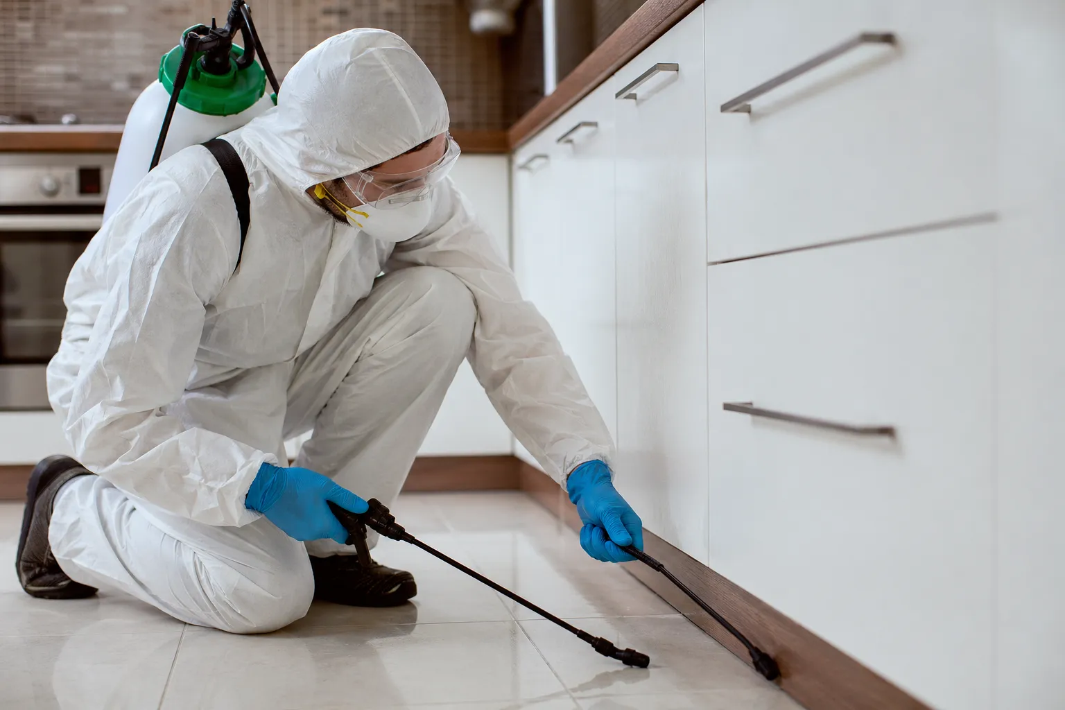 Pest Control Scugog | Complete Local Guide