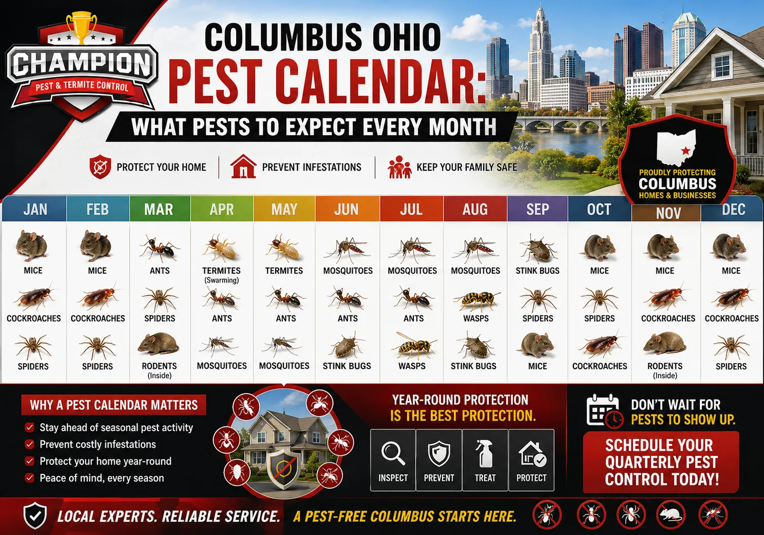 Columbus Ohio Pest Calendar: What Pests to Expect Every Month