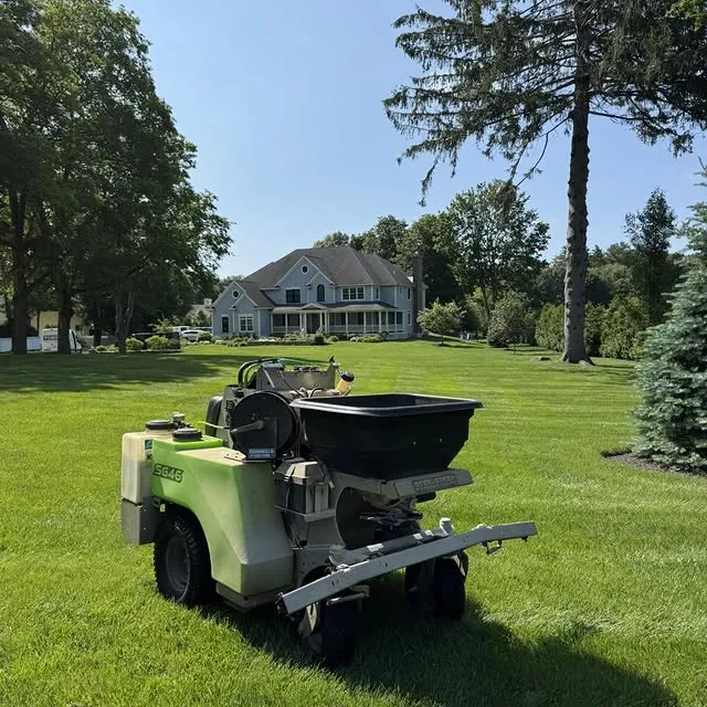 DIY vs. Professional Yard Tick Control in Kingston, NH