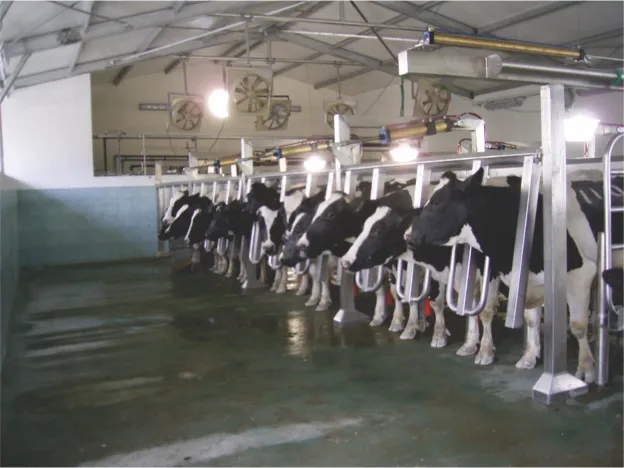 From Manual Milking to Automated Milking Parlor in India: A Farmer's Complete Guide