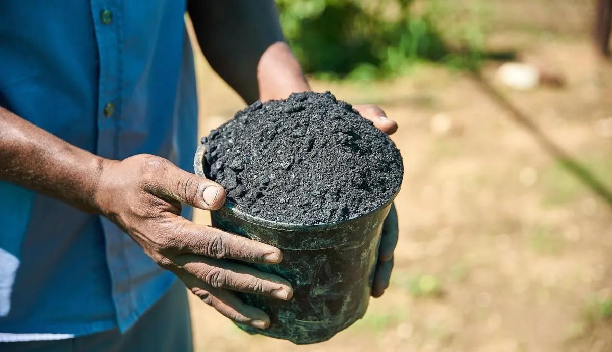 Biomass to Biochar: How Industrial Waste Becomes Power, Soil, and Sustainability