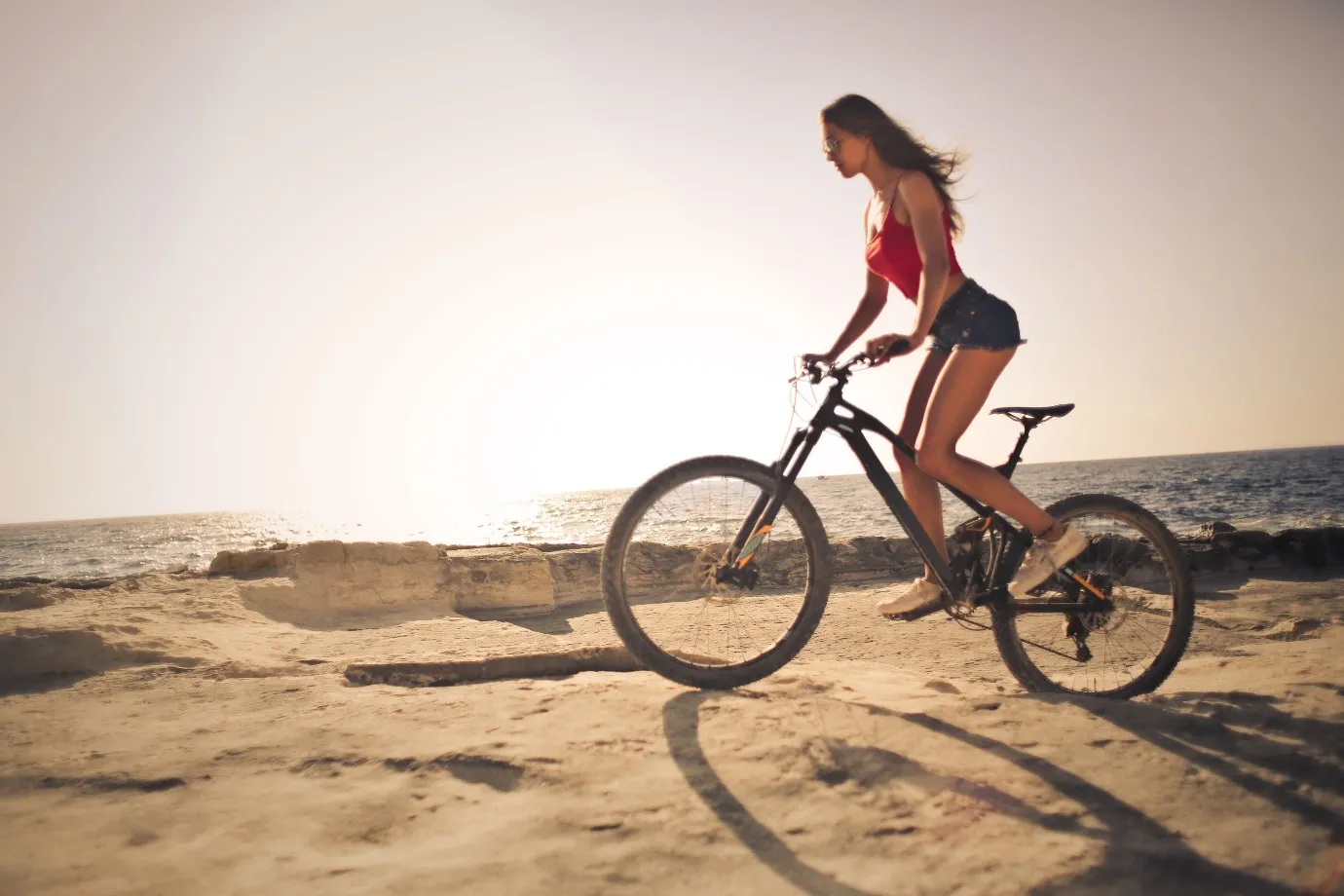 Bicycle Tourism as a Growing Economic Sector in North America