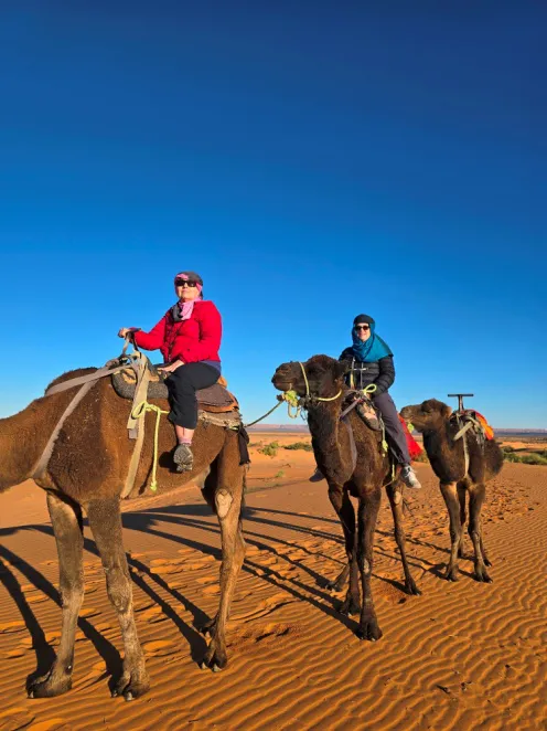 Tourists in Morocco riding Camels