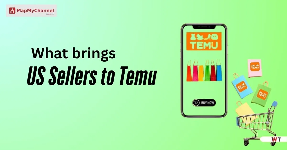 Why U.S. Sellers Are Moving to TEMU: The Future of Ecommerce?