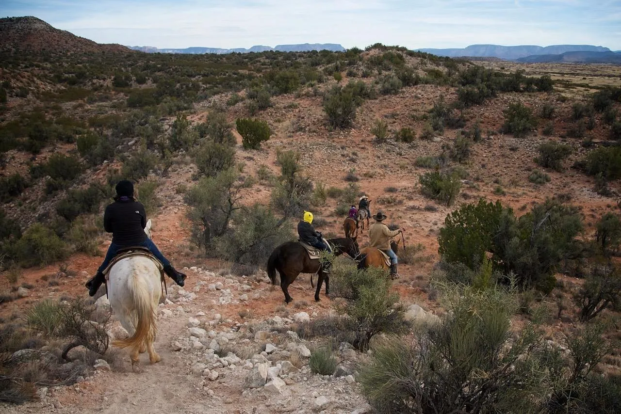 Discover the Perfect Wickenburg Getaway with Vacation Rentals by Owner — WriteUpCafe