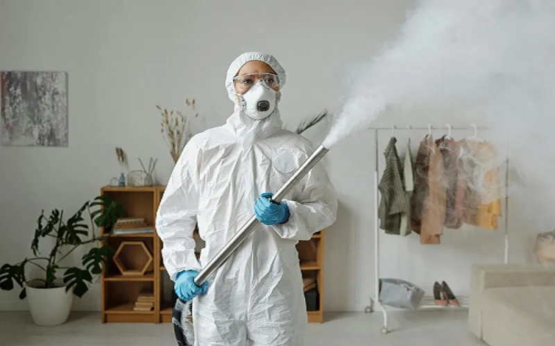 Seasonal Pest Prevention Tips from Local Pest Experts