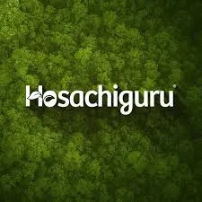 Hosachiguru Farm Land For Sale Near Doddaballapur: Invest in Nature, Growth, and Long-Term Value