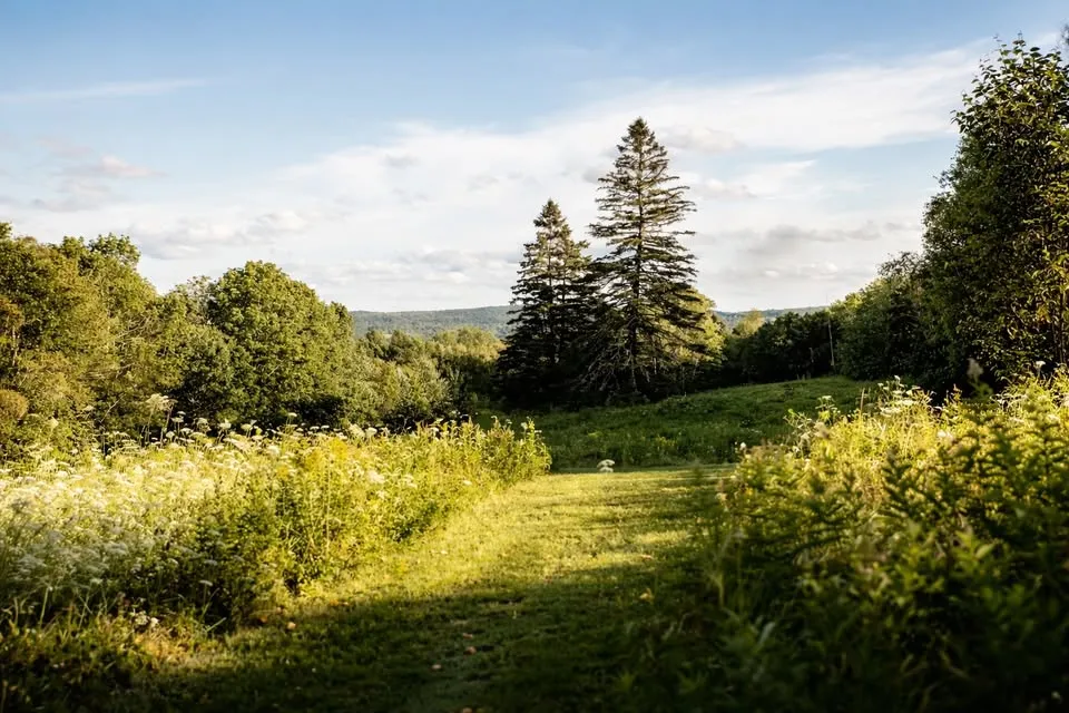 Why Maine Is an Exceptional Destination for Leadership Growth