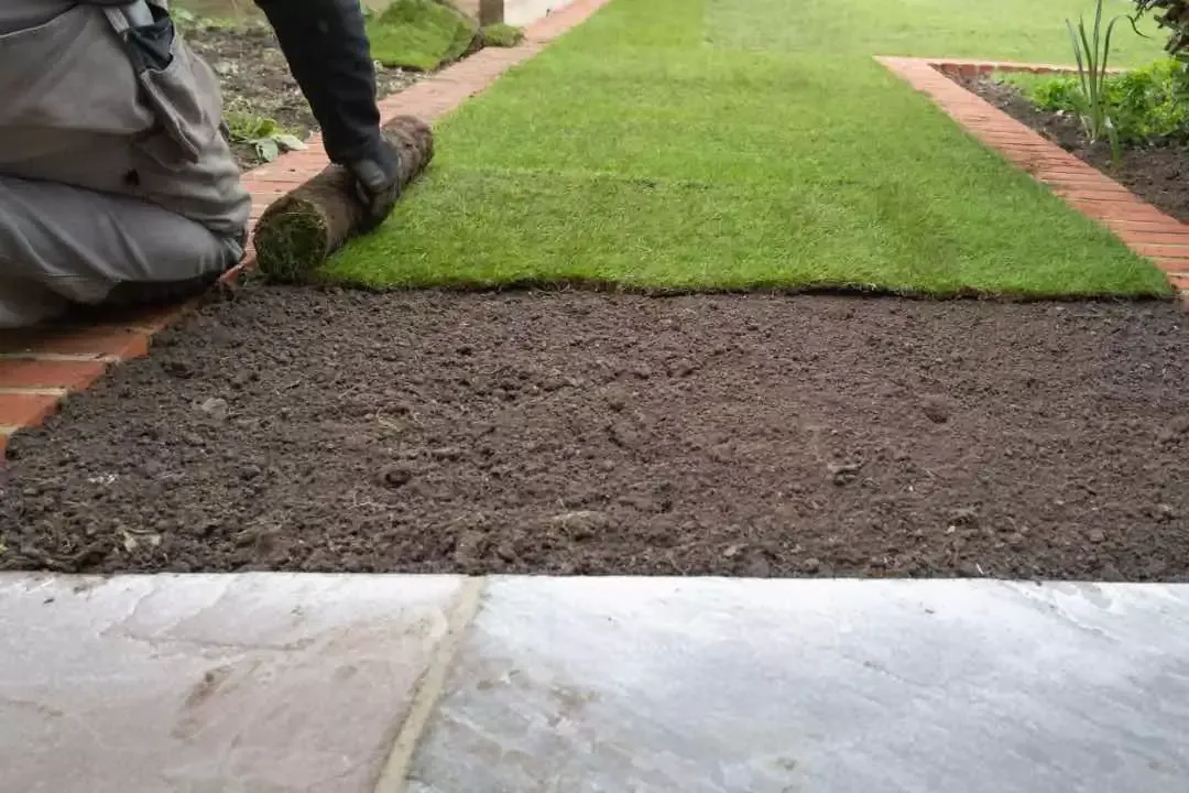 Why Choosing the Right Turf Supplies Blue Mountains Makes a Lasting Difference