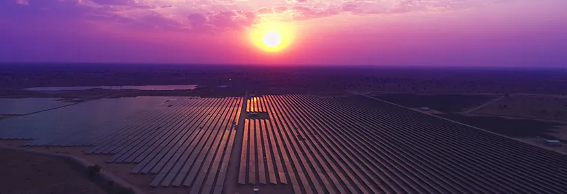 Practical Ways Businesses Can Meet Sustainability Goals