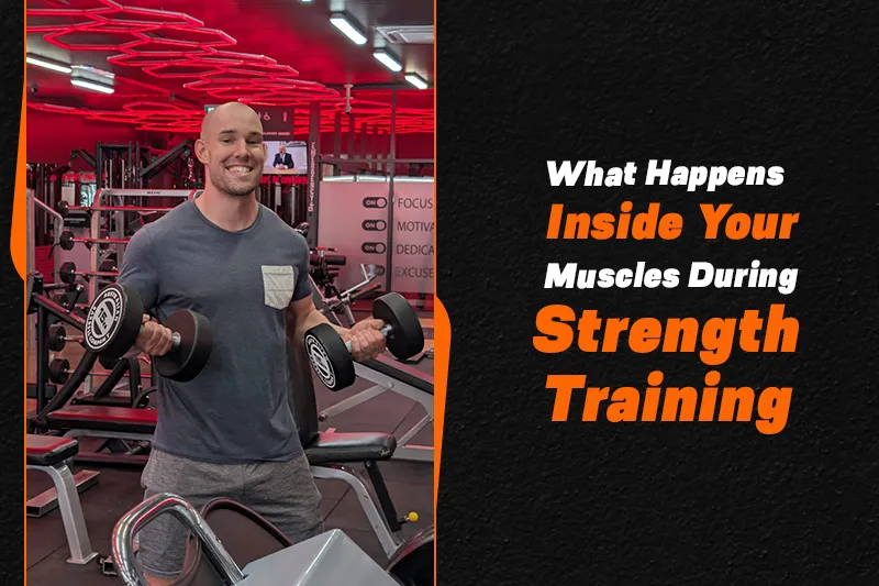 What Happens Inside Your Muscles During Strength Training