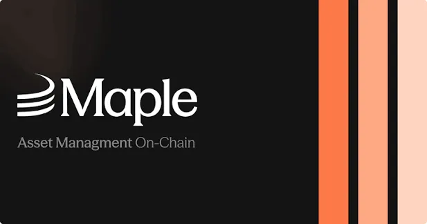 How Maple Finance Margin Calls Control Risk