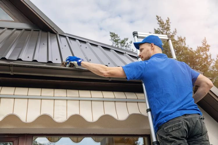 Top 5 Reasons Why Roof Cleaning Is Essential For Portland Homeowners