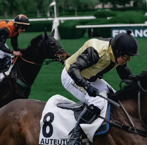 RWITC Mumbai and Its Role in India’s Horse Racing Ecosystem