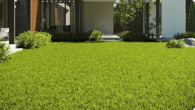 Why Lawn Care in Burke, VA Is the Key to a Healthier, Better-Looking Yard