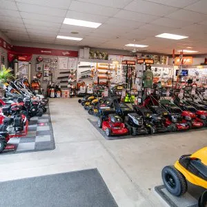 Choosing the best lawnmower engines in Chatham-Kent